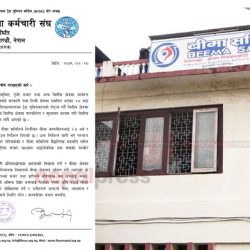बिमा कर्मचारीकाे सुबिधा सम्बाेधन गर्न  नेपाल बित्तिय  कर्मचारी संघले गर्याे बीमा समितिको ध्यानाकर्षण