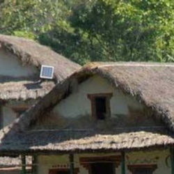 छानो फेर्न एक अर्ब ३६ करोड