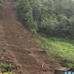 पहिराबाट तीन वर्षीयाको मृत्यु