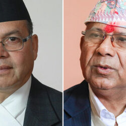 को को परे एकीकृत समाजवादीले बनाएको ११ सदस्यीय केन्द्रीय सचिवालयमा