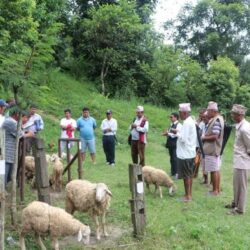 किसानको गोठगोठमा स्वास्थ्य शिविर