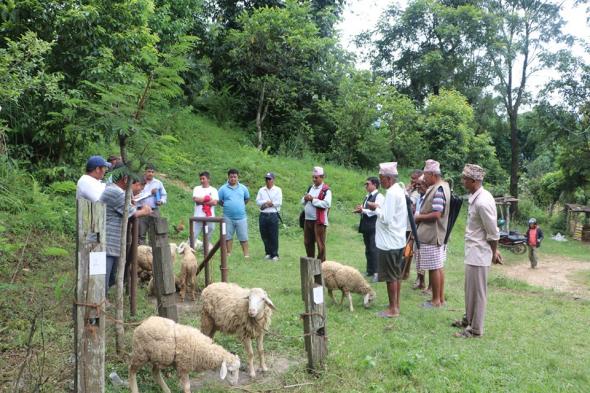 किसानको गोठगोठमा स्वास्थ्य शिविर