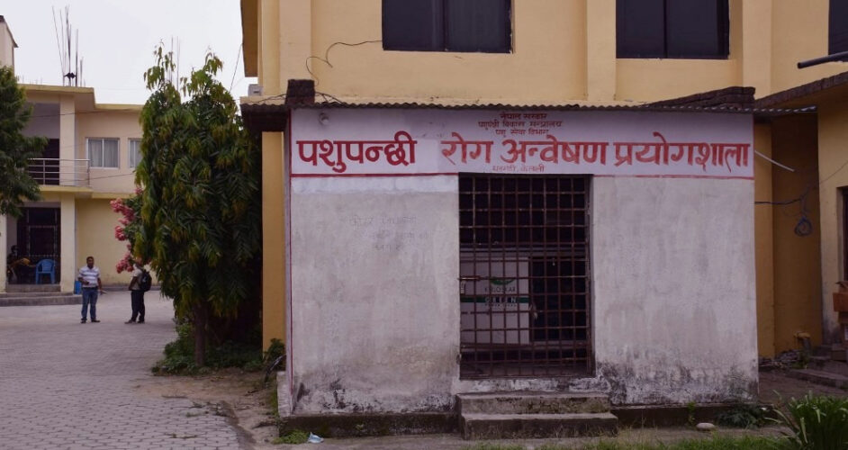 धनगढी को पशुपन्छी अन्वेशण प्रयोगशाला बाट पनि कोरोना परीक्षण गरिने