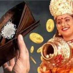 पर्समा सधैँ बोकेर हिड्नुहोस् यी मध्ये कुनै एक चीज, हटेर जान्छ पैसाको कमी